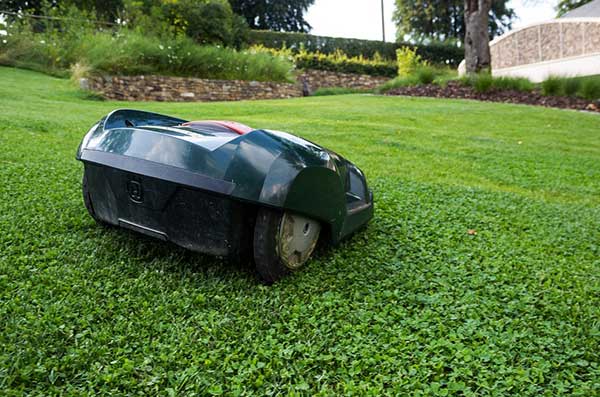 Why do you need a robotic lawn mower