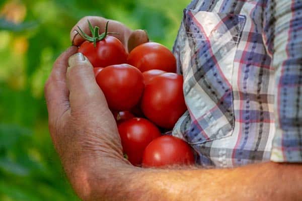 Grow Your Own Food