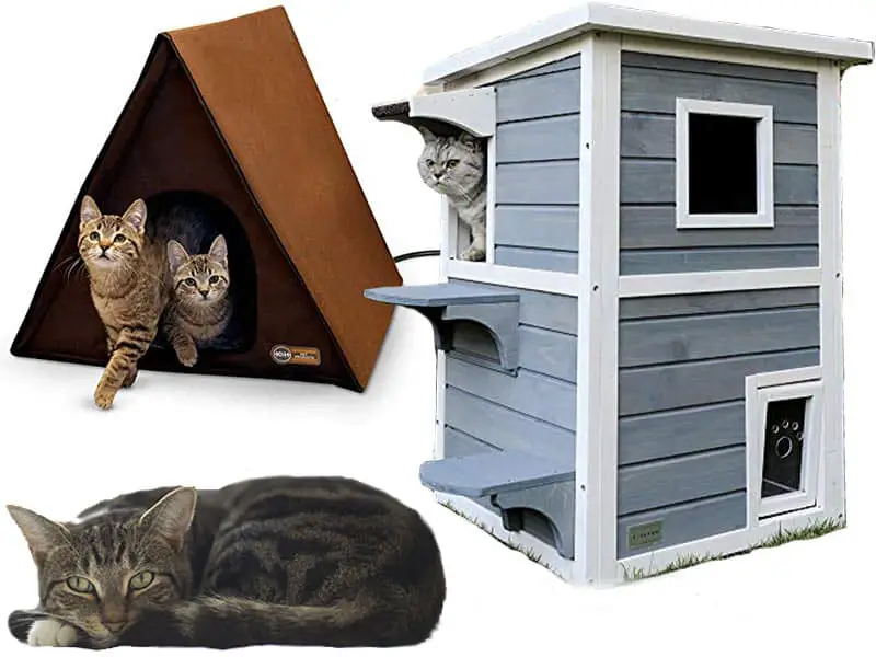 7 Best Outdoor Cat Houses for Multiple Cats