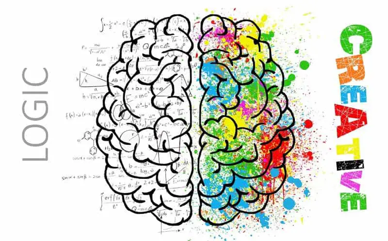 Left Side vs Right Side - Which is More Creative?