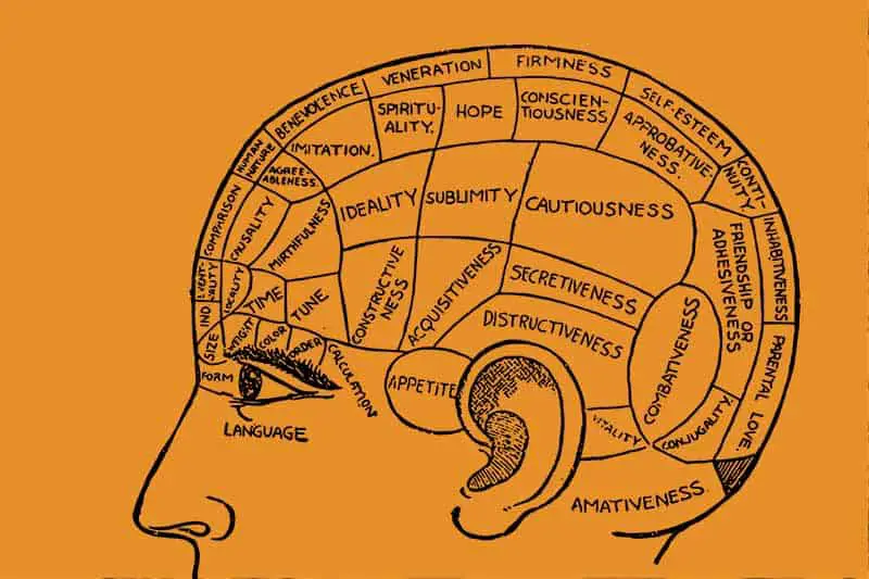 Other creative parts of the human brain
