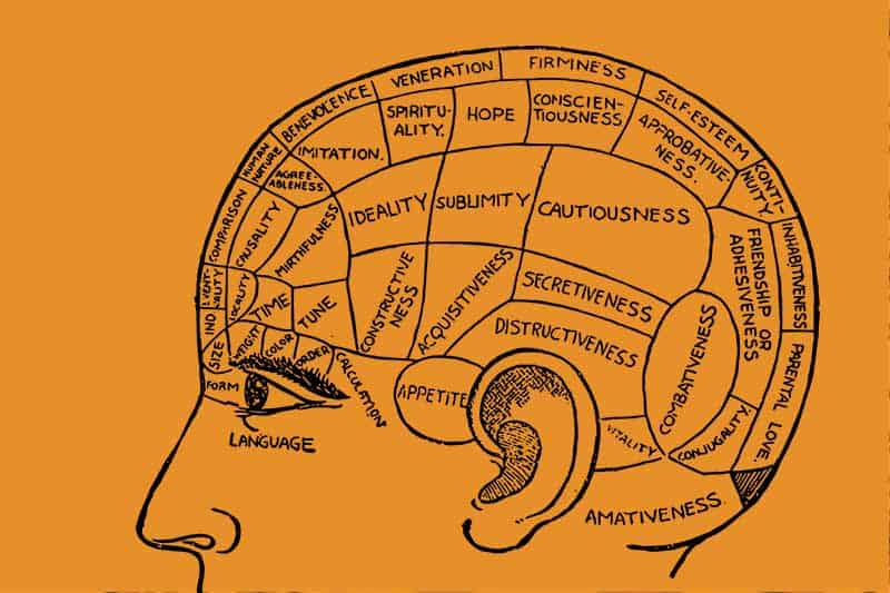 Other creative parts of the human brain