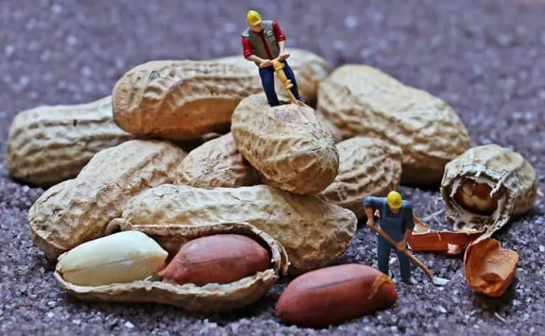Can You Eat Peanut Shells?