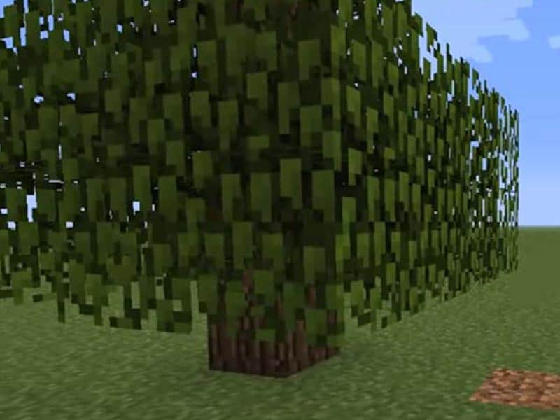 Wood in minecraft