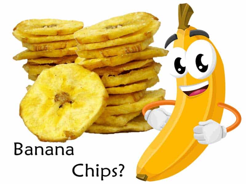 Are Plantain Chips Healthy Life Falcon