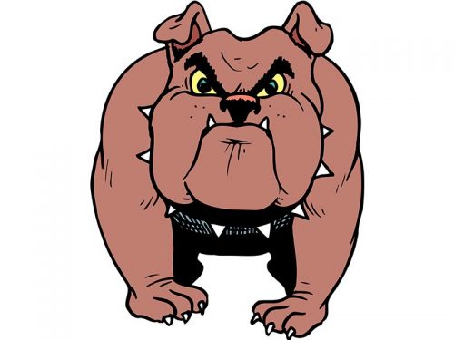 Pitbull bloodline tought dog