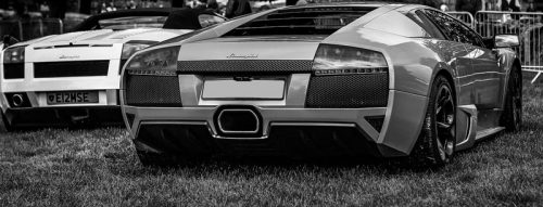 Murcielago