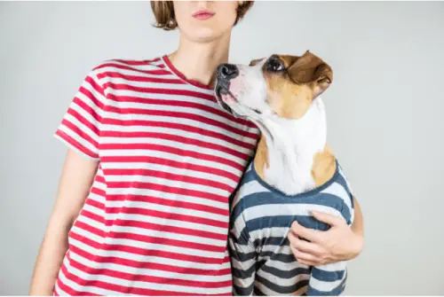 10 Tips For Properly Dressing Your Dog   Ensuring Comfort And Safety